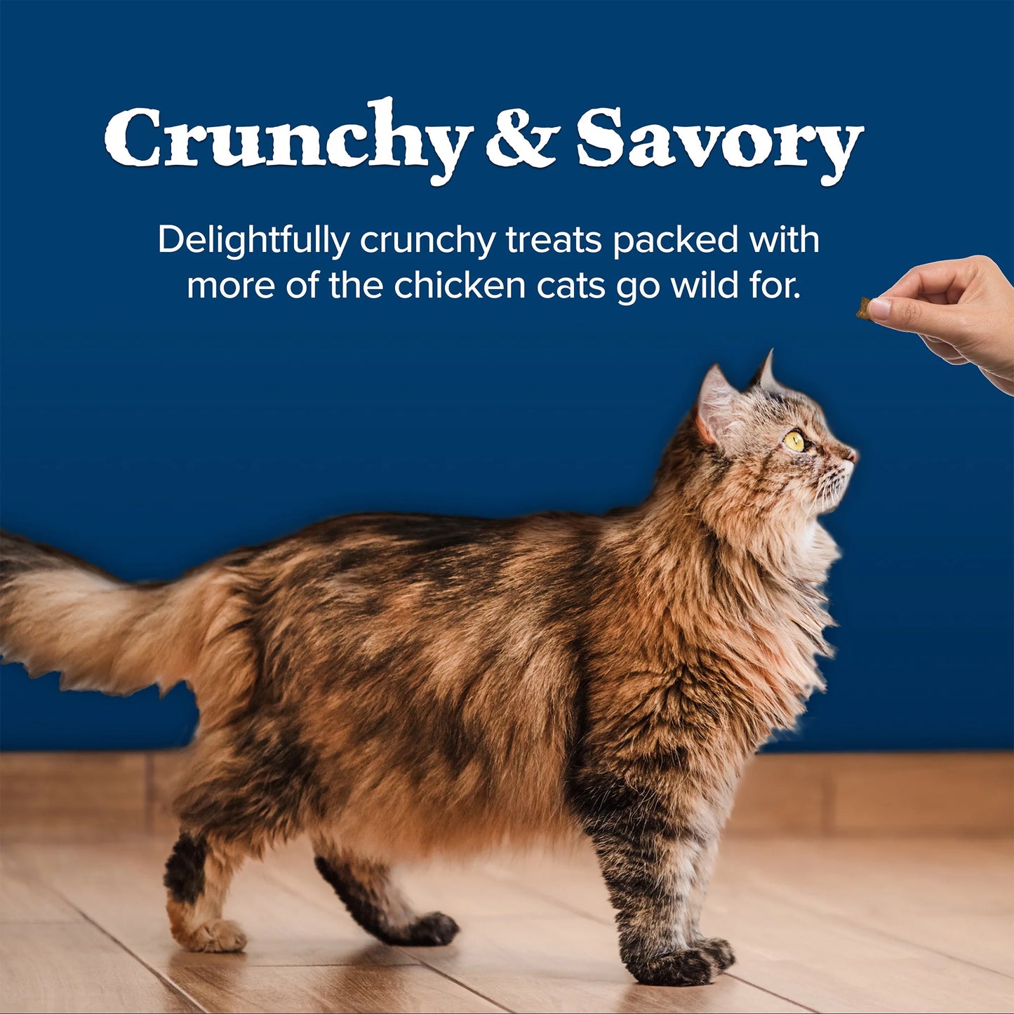 Wilderness Crunchy Cat Treats Chicken 12Oz
